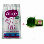 Alice Kısırlaştırılmış / Kilolu Kediler İçin Super Premium Mama Somonlu Karidesli 12 kg (Kısır ve/veya Kilolu) + Kedi Çimi