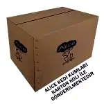 alice-kolili-gonderim