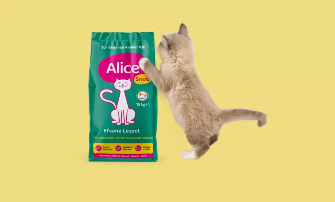 Kedi Maması Nasıl Seçilir