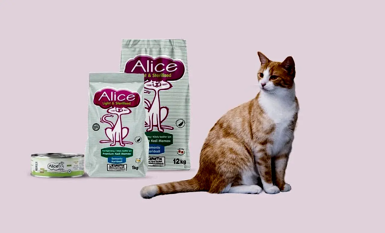 Kısırlaştırılmış Kedi Maması