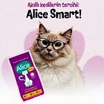 Alice Smart Kedi Maması 20 x 1 Kg - Görsel 2