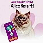Alice Smart Kedi Maması 15x1 Kg - Görsel 2