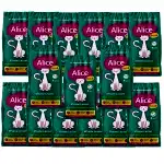 Alice Snob Kedi Maması 1kg x15 + Kedi Çimi Hediyeli