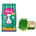 Alice Snob Kuru Kedi Maması 15 kg