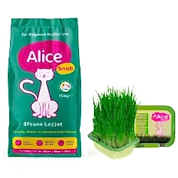 Alice Snob Kuru Kedi Maması 15 kg