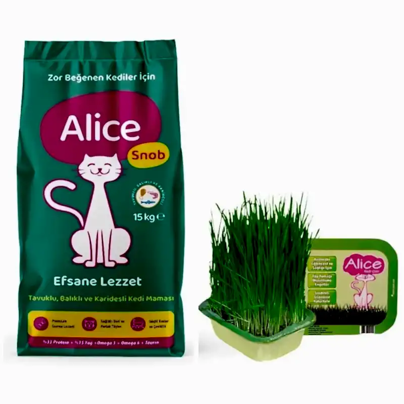 Alice Snob Kuru Kedi Maması 15 kg