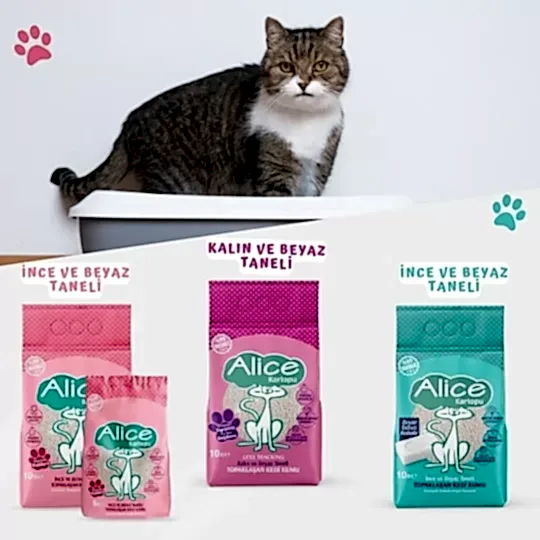 Alice Kartopu Topaklaşan Kedi Kumları