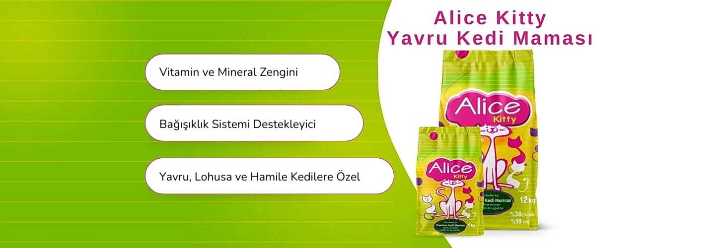 Alice Kitty Yavru Kedi Maması