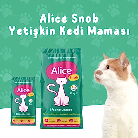 Alice Snob Yetişkin Kedi Maması