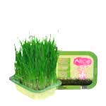 Alice Smart Kedi Maması 15 Kg + Çim - Görsel 4