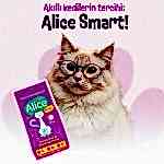 Alice Smart Kedi Maması 15 Kg - Görsel 3