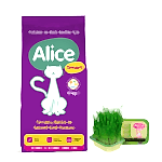 Alice Smart Kedi Maması 15 Kg + Çim